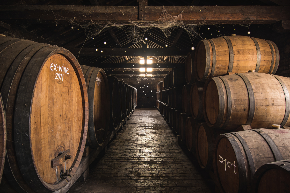 Sala de barris de carvalho de uma cervejaria lambic, com teias preservadas e luz entrando por uma janela alta