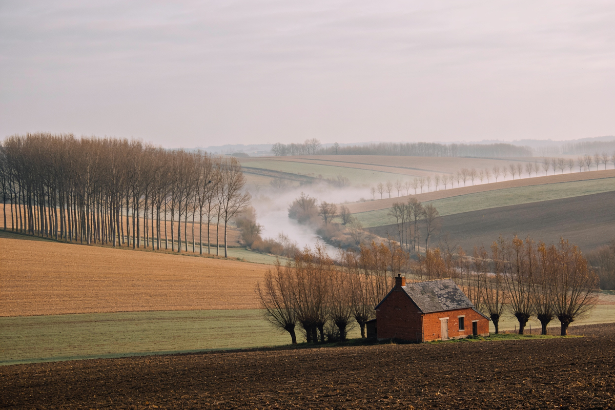 Paisagem rural do Pajottenland, com campos ondulados, fileiras de choupos e neblina no vale do rio Zenne